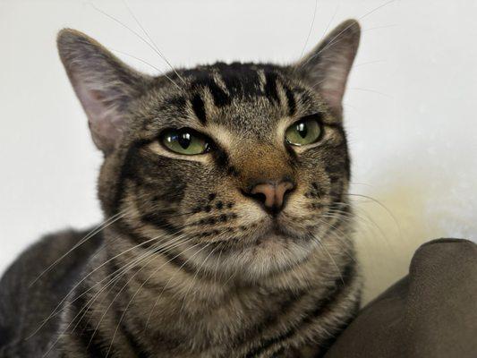 photo of Yancarlo C.