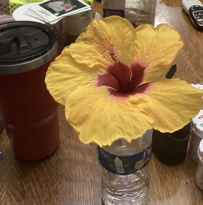 photo of Stephen Stein