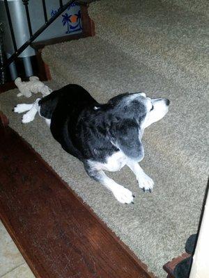 Photo of Jennifer W.