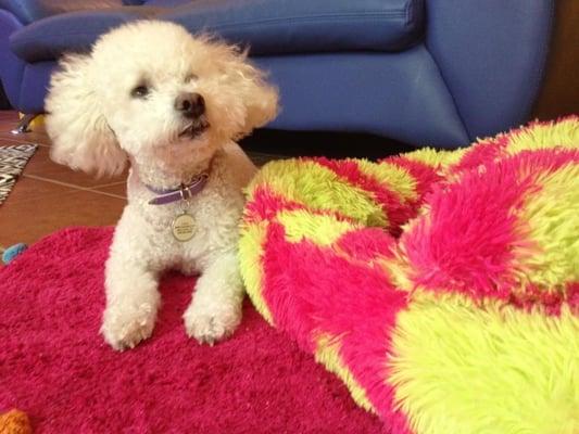 Photo of Michelle Q.