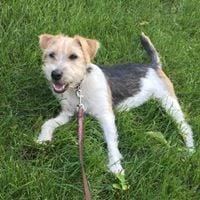 photo of Jennifer K.