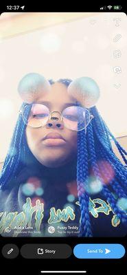 Photo of Hibiscus B.