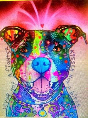 photo of Mitchell D.