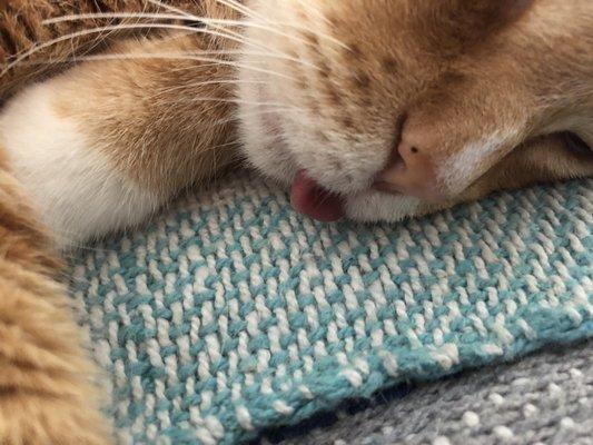 photo of Einaphets D.