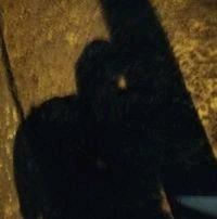 Photo of JonMichael A.