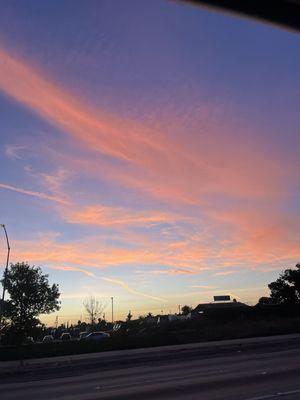 photo of Samantha P.