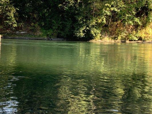 photo of Maryanwoolard W.