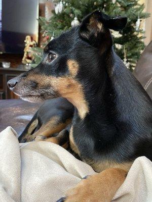 photo of Veronica R.