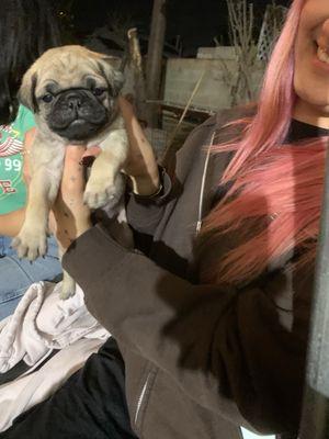 photo of Raymundo C.