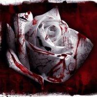 photo of Patricia L.