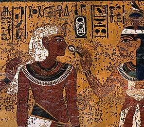 photo of K i n g W u t.