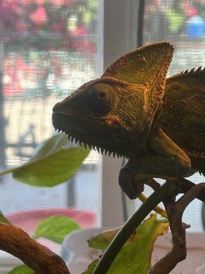 Photo of Alejandra R.