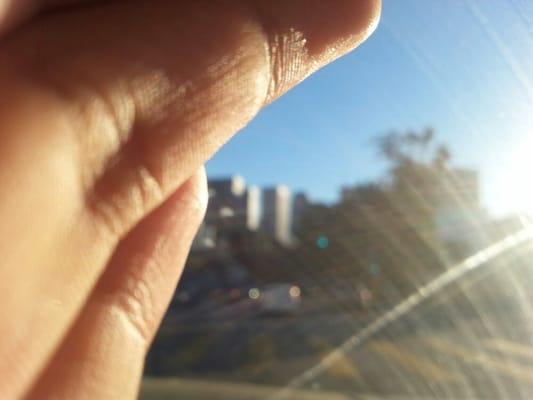 photo of MiaBella C.