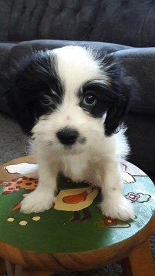 photo of Veronica R.