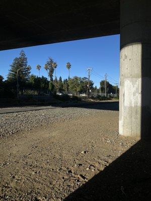 photo of Jonathan D.