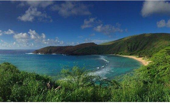 Photo of Kimberly P.