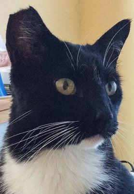 photo of Patricia Y.