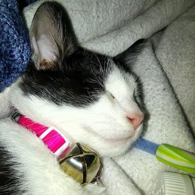 photo of Kimberly O.