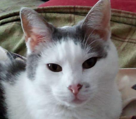 Photo of Lynda B.