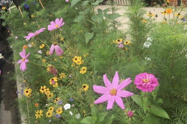 photo of Elizabeth B.