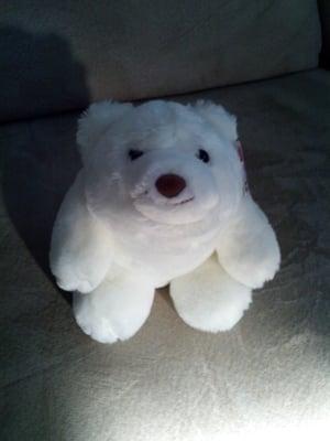 Photo of Nicholas B.