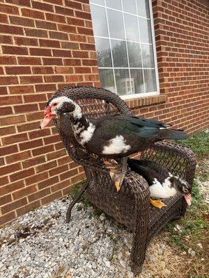 photo of Brittany J.