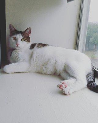 Photo of Rossi S.