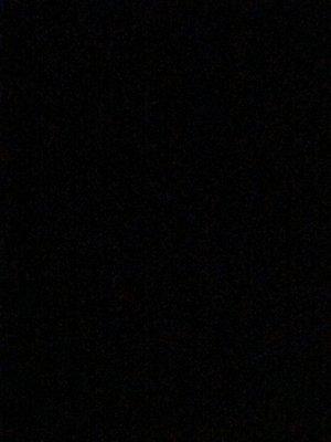 Photo of Angelina P.