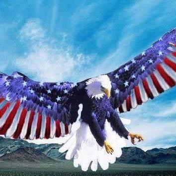 photo of Robert N L.