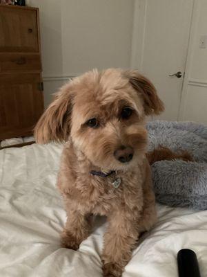 photo of Danielle D.