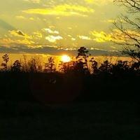 photo of Jerry N Paula F.