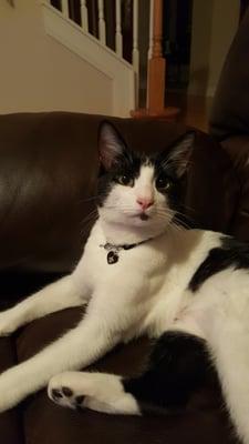 photo of Christie J.