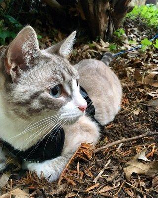 Photo of Lincy J.