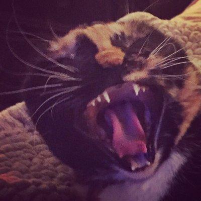 photo of Jennifer S.