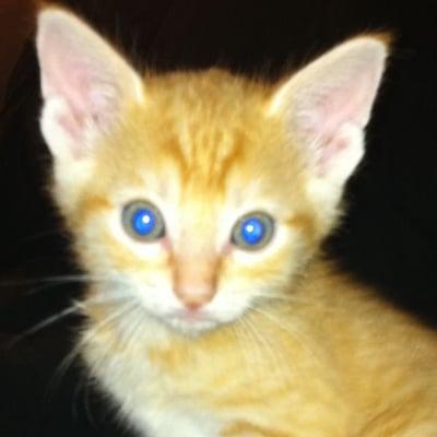 Photo of Kairi K.