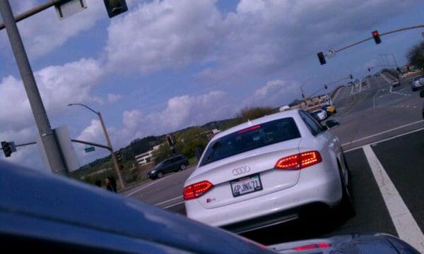 Photo of Dogluvr66 V.