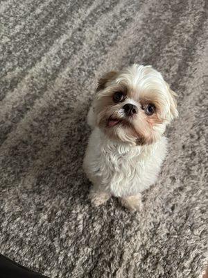 Photo of Princess A.