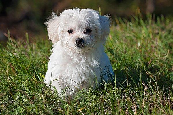 photo of Audrey-Mary S.