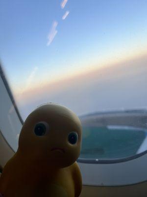 photo of Michelle T.