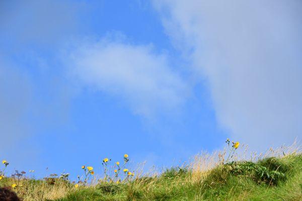 photo of Graciela H.