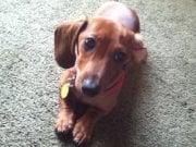 photo of Caroline C.