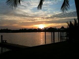 photo of Pineapple C.