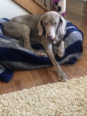 photo of Jennifer L.