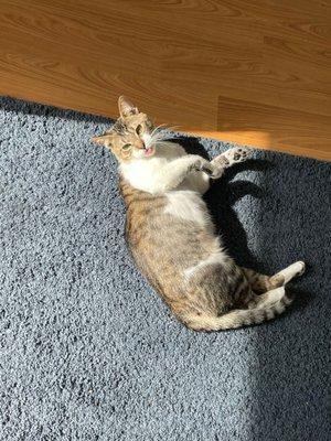 photo of Anastasia L.