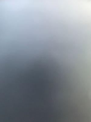 Photo of Meris T.
