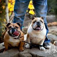 photo of JoeMahma S.