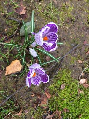 photo of Juliette D.