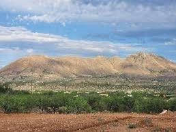 Photo of M A.