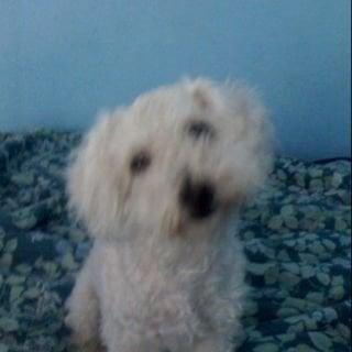 photo of Michelle C.