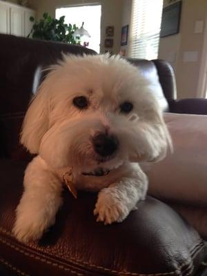 photo of Wendie F.